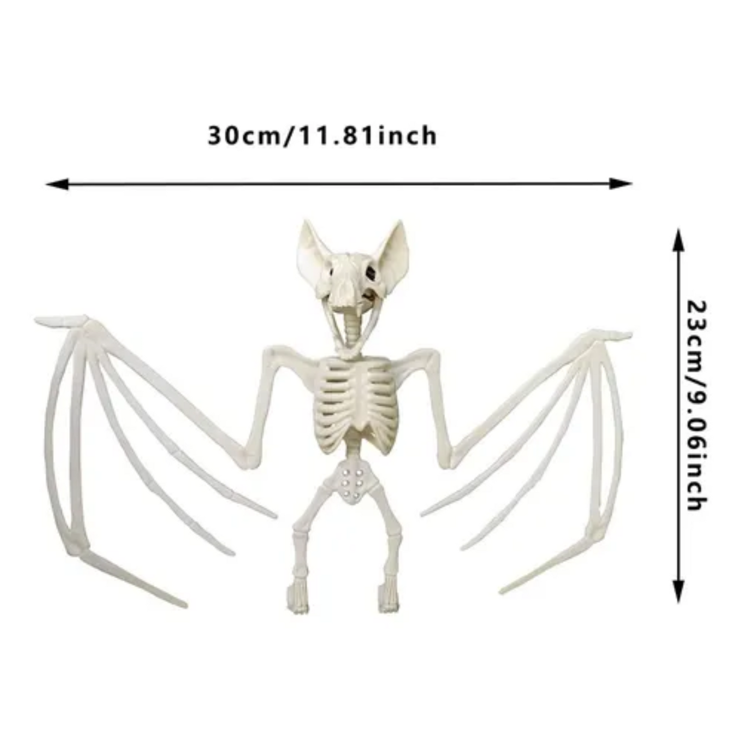 Esqueleto de Murciélago (28 cm) | El Accesorio Macabro para tu Decoración 🦇